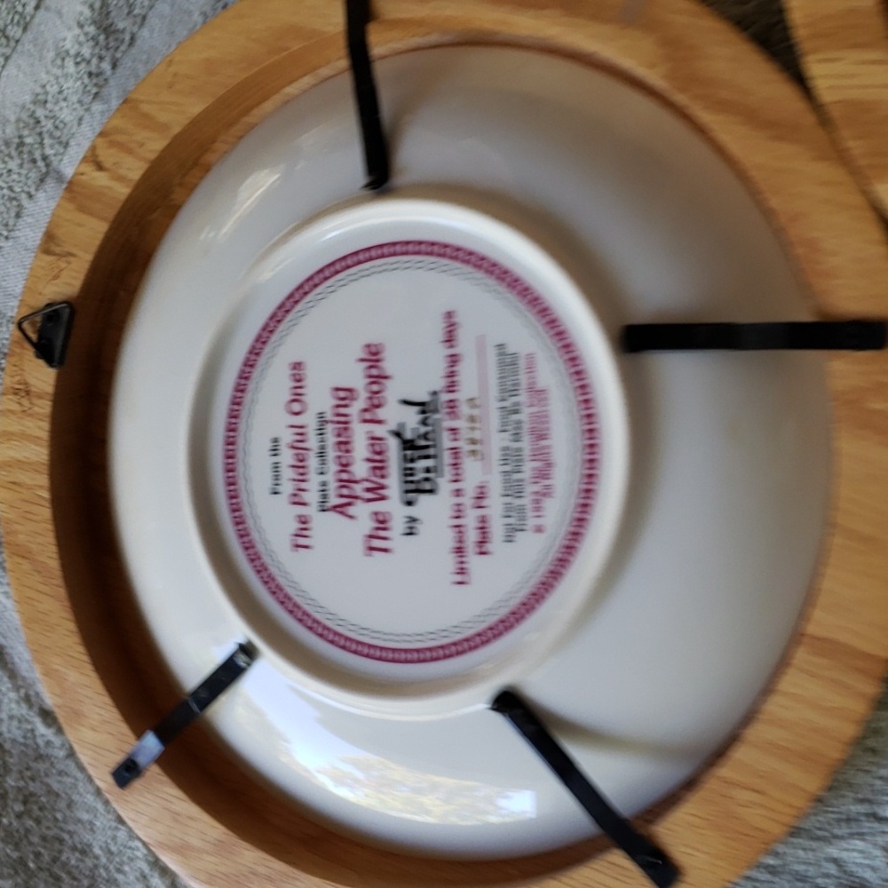 Indian The Prideful Ones Plate Collection '2 Plate' - Picture 5 of 9
